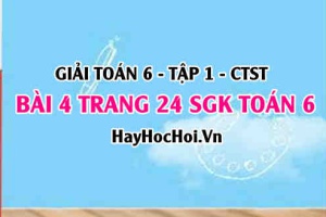 Giải bài 4 trang 24 Toán 6 Tập 1 SGK Chân trời sáng tạo